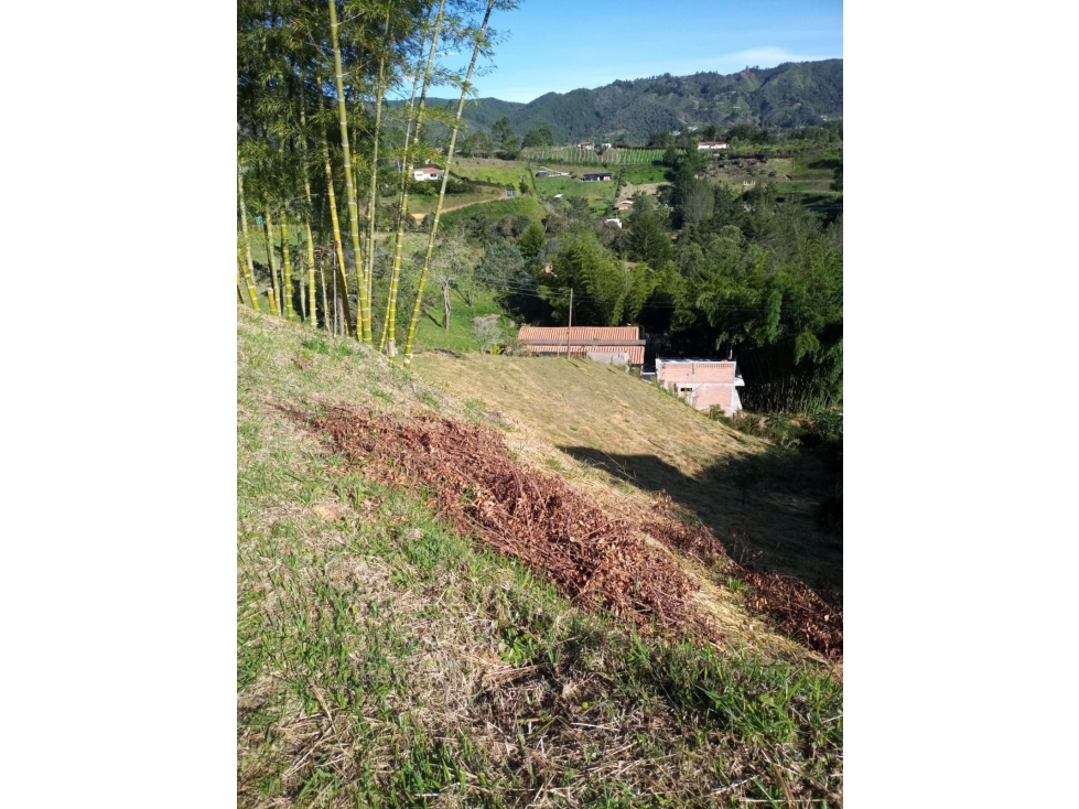VENDO LOTE SAN VICENTE FERRER-CHAPARRAL — foto 4