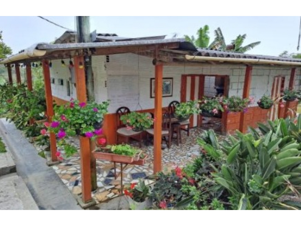 Venta Finca en Abejorral o cambio área Metropolitana - 2