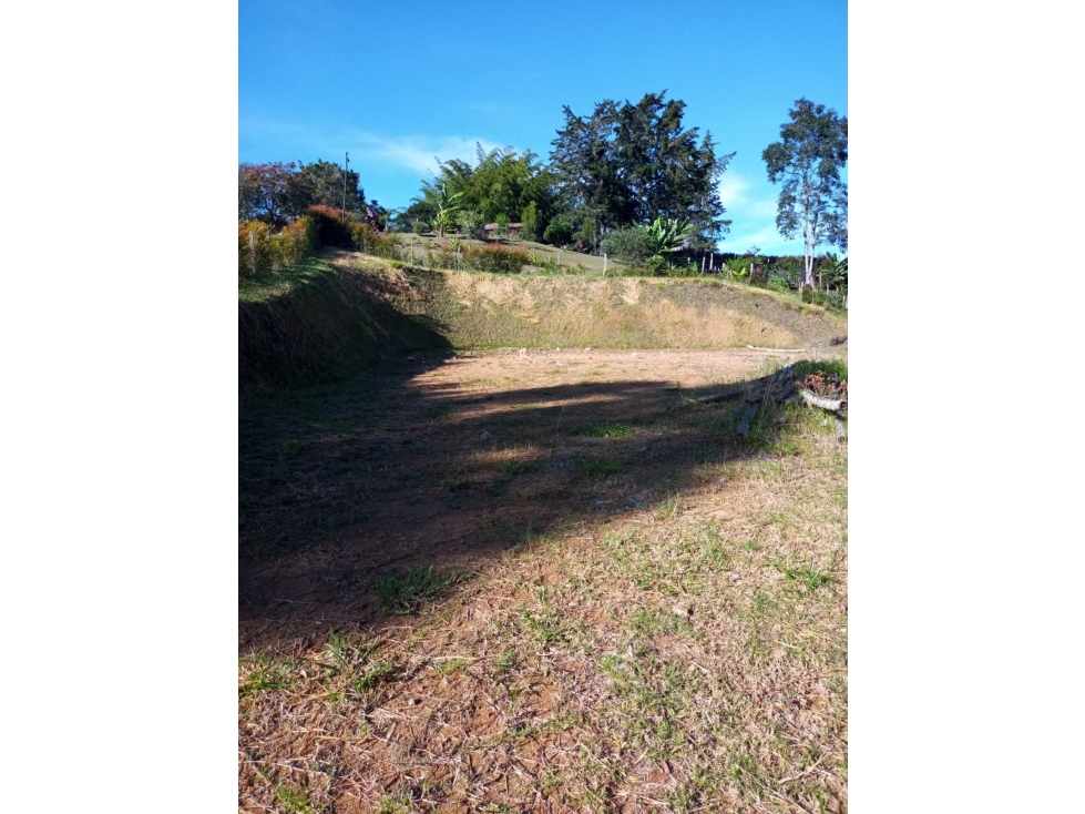 VENDO LOTE SAN VICENTE FERRER-CHAPARRAL — foto 5
