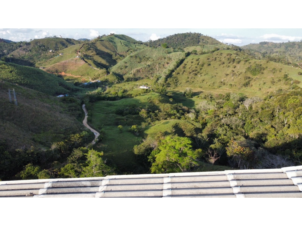 Venta de Finca en San Roque - 2