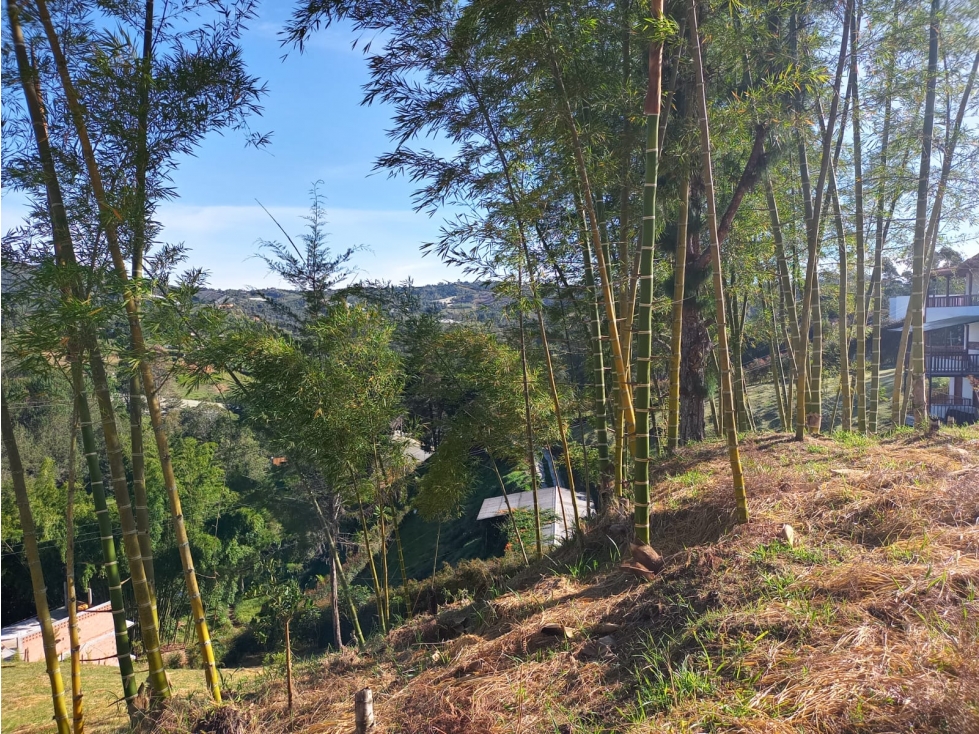 VENDO LOTE SAN VICENTE FERRER-CHAPARRAL — foto 6