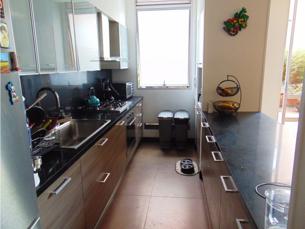 VENDO APATO CHICO NAVARRA — foto 5