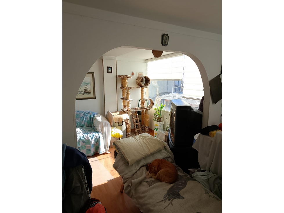 VENDO APARTAMENTO SANTA BARBARA — foto 2