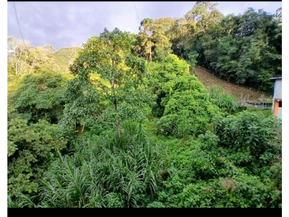 VENDO FINCA CACHIPAY CUNDINAMARCA - 2