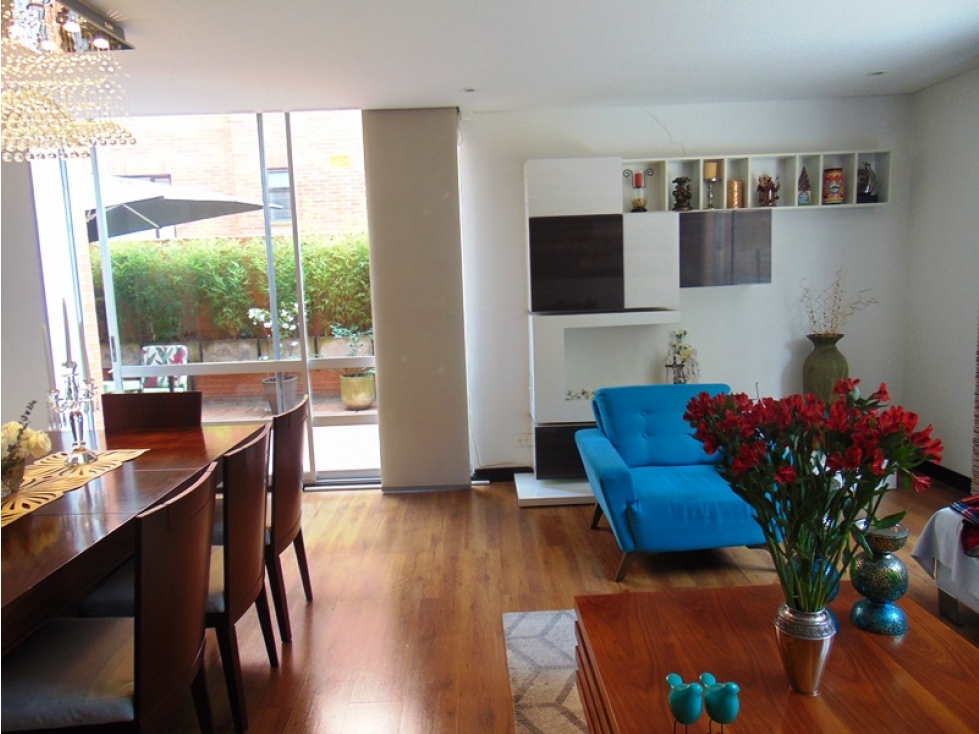 VENDO APATO CHICO NAVARRA — foto 4