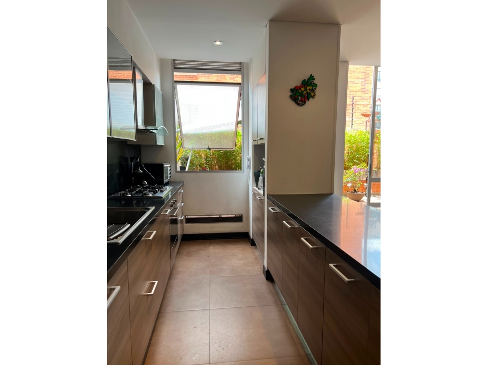 VENDO APATO CHICO NAVARRA — foto 6