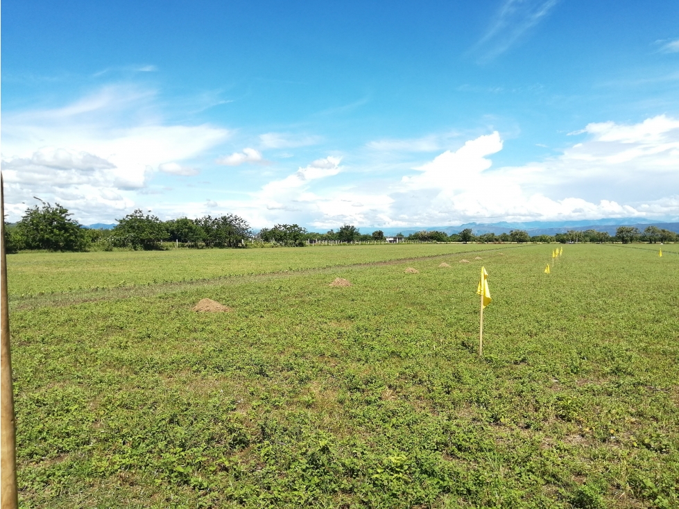 VENDO O PERMUTO LOTE EN FLANDES - 1