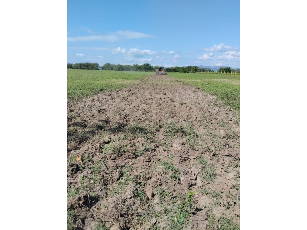 VENTA DE LOTE EN FLANDES - 3