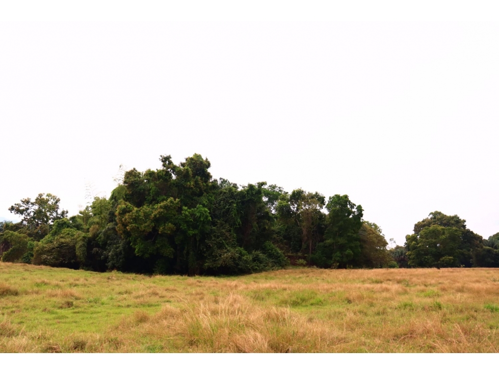 VENDO LOTE EN MELGAR - 2