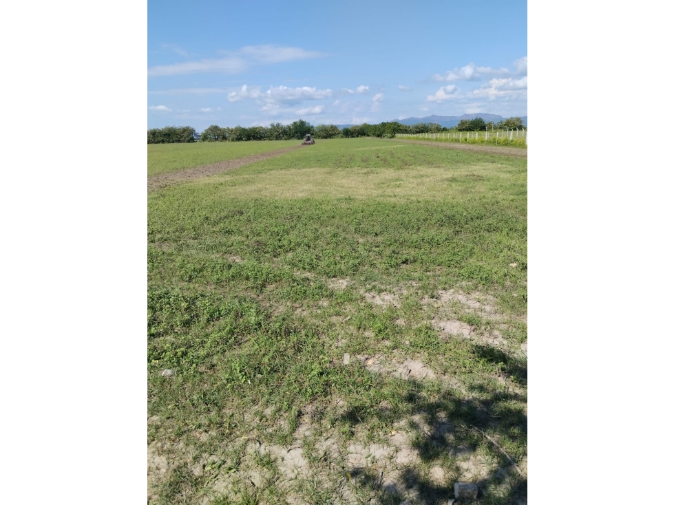 VENTA DE LOTE EN FLANDES - 1