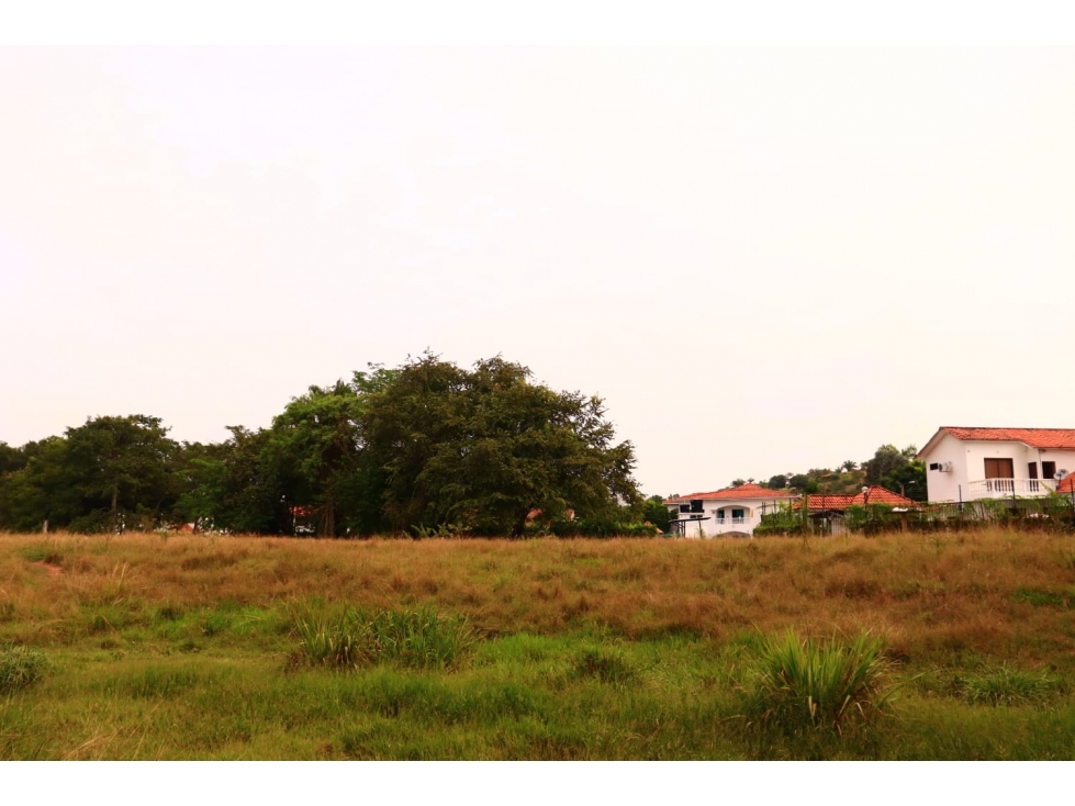 VENDO LOTE EN MELGAR - 3