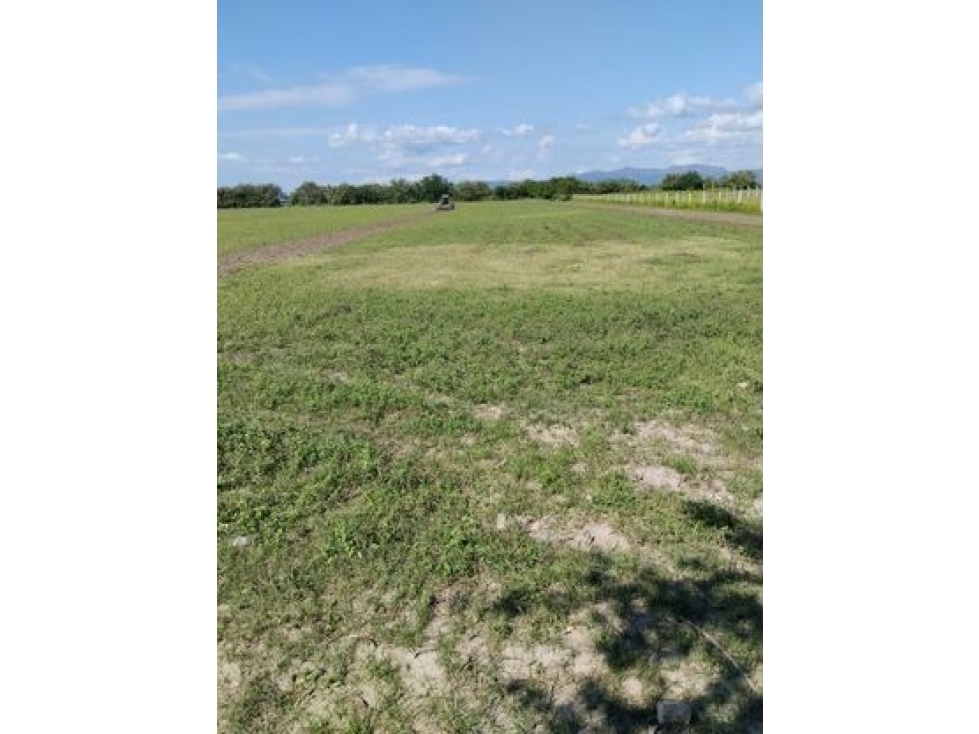 VENDO O PERMUTO LOTE EN FLANDES - 4