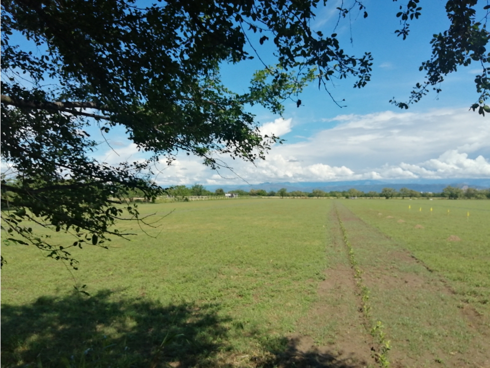 VENDO O PERMUTO LOTE EN FLANDES - 6