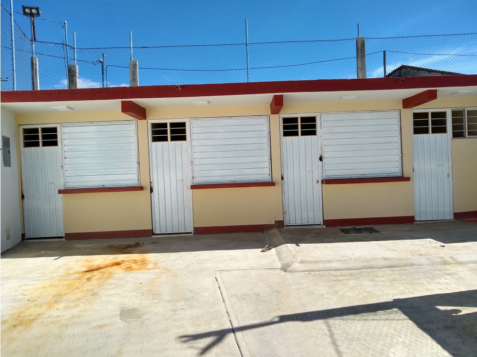 Cancha de futbol rápido en Venta, La Presa, Coatepec Harinas, México. - 3