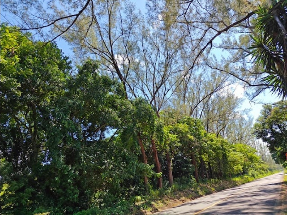 Terreno con Uso de Suelo Comercial en Santiago Tuxtla, Veracruz - 2
