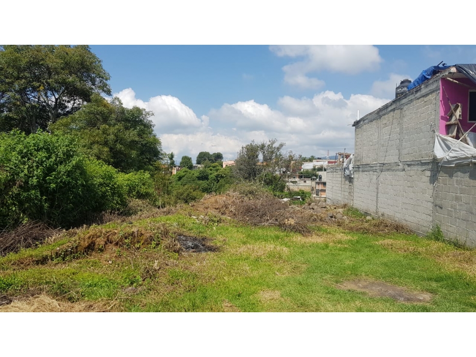 Excelente lote con dos frentes, Zacanguillo, Coatepec Harinas - 3