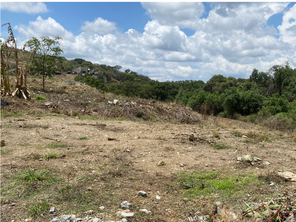 Prácticos Lotes en Colonia El Progreso, Ixtapan de la Sal. - 2