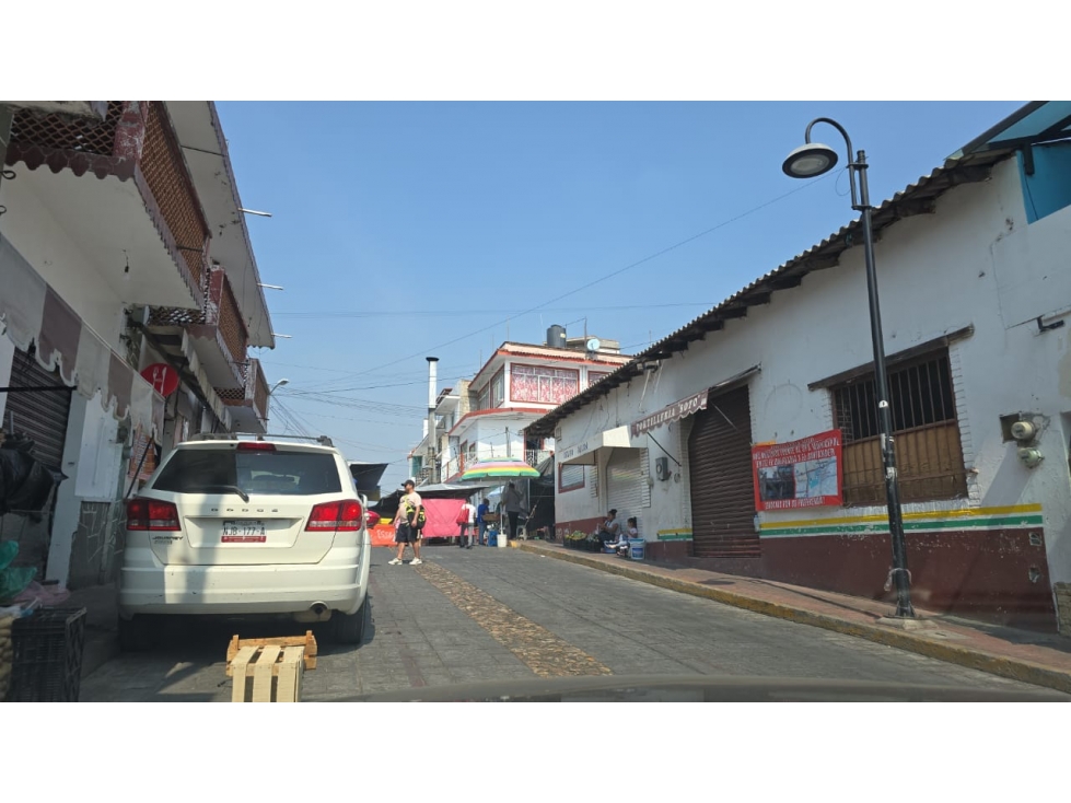 Terreno en Renta en el Centro de Ixtapan de la Sal. - 2