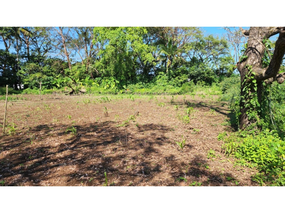 Terreno con Uso de Suelo Comercial en Santiago Tuxtla, Veracruz - 3