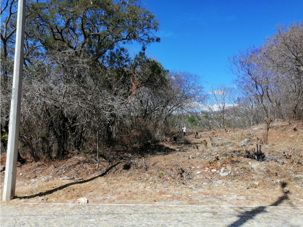 Terreno 588 m², Rancho San Diego, Ixtapan de la Sal - 4