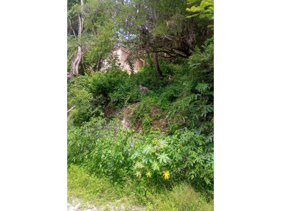 Práctico Terreno en Rancho San Diego, Ixtapan de la Sal, Méx. - 5
