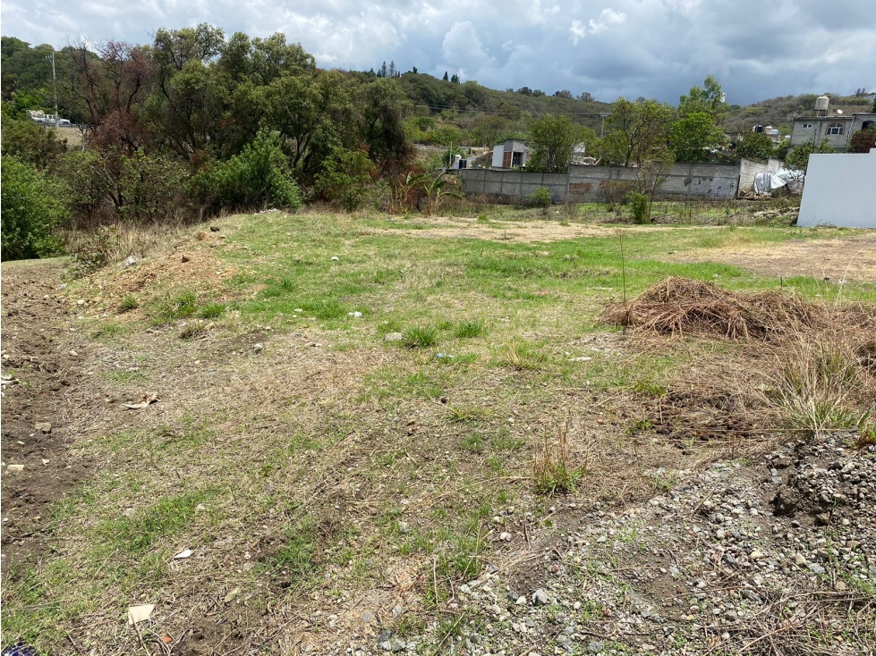 Prácticos Lotes en Colonia El Progreso, Ixtapan de la Sal. - 4