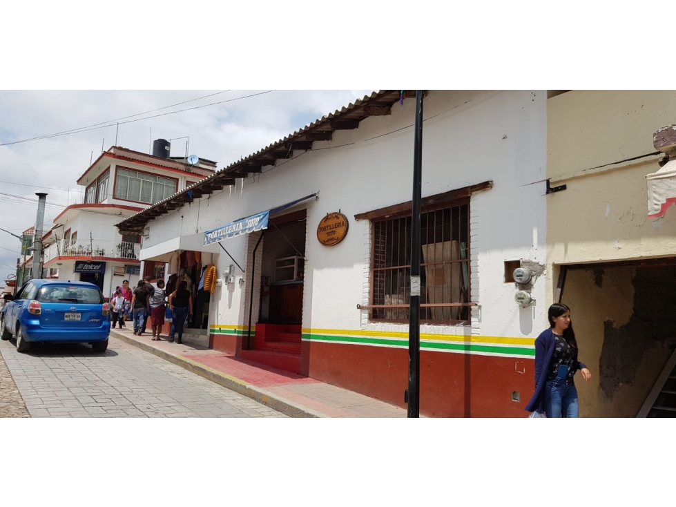 Terreno en Renta en el Centro de Ixtapan de la Sal. - 4