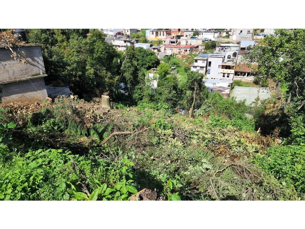 Lote con excelente ubicación, Zacanguillo, Coatepec Harinas - 5