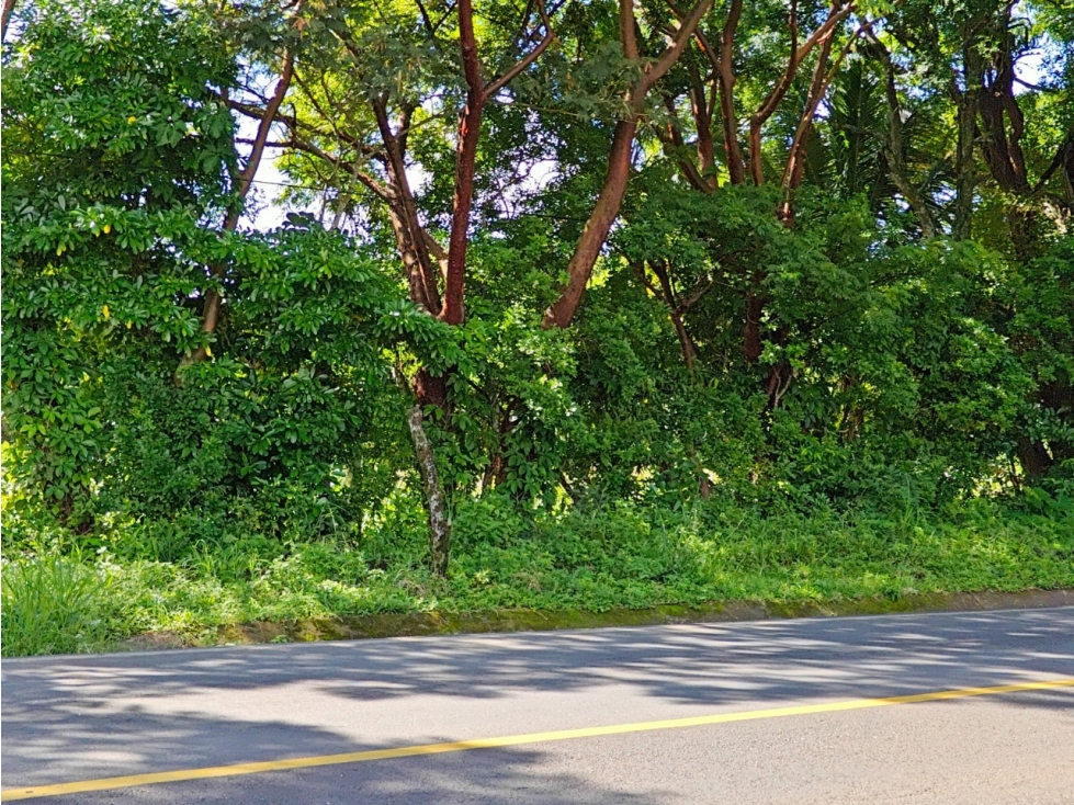 Terreno con Uso de Suelo Comercial en Santiago Tuxtla, Veracruz - 5