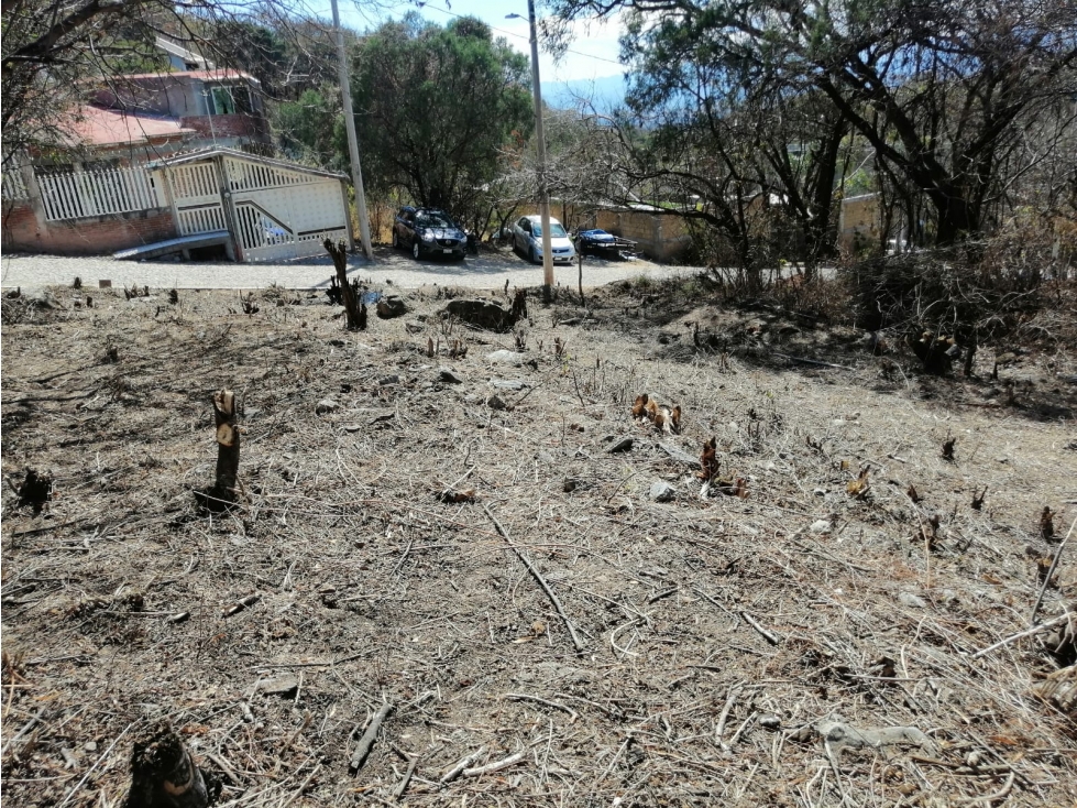 Terreno 588 m², Rancho San Diego, Ixtapan de la Sal - 6