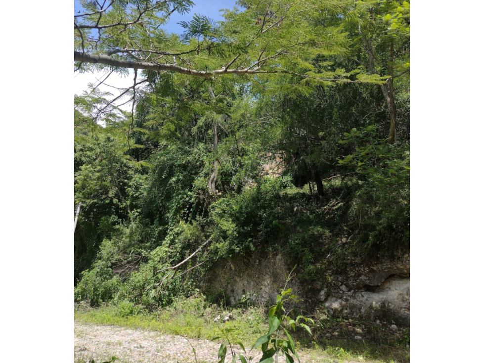 Práctico Terreno en Rancho San Diego, Ixtapan de la Sal, Méx. - 3