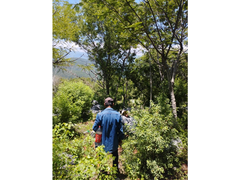 Rancho Premium en Zumpahuacán con Gran Potencial de Explotación. - 2