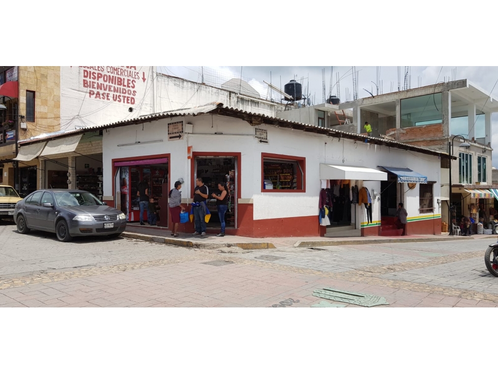 Terreno en Renta en el Centro de Ixtapan de la Sal. - 5