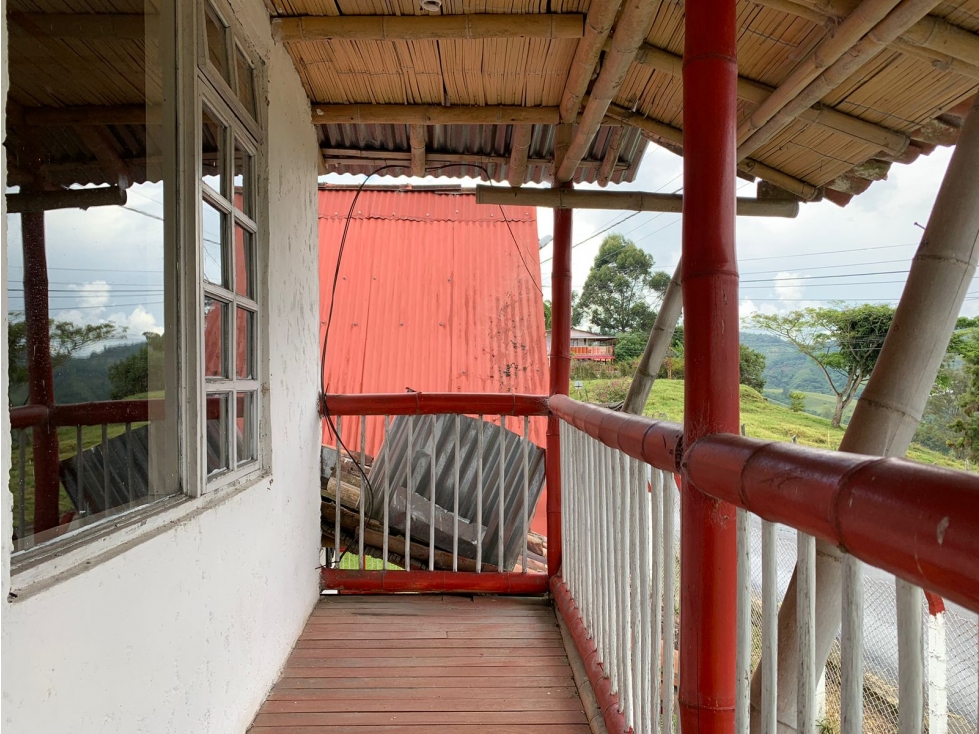 VENTA FINCA PUEBLO RICO NEIRA, MANIZALES CALDAS — foto 6