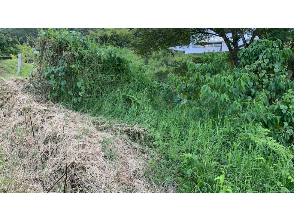 VENTA DE LOTE VÍA AUTOPISTA DEL CAFÉ, MANIZALES CALDAS — foto 2