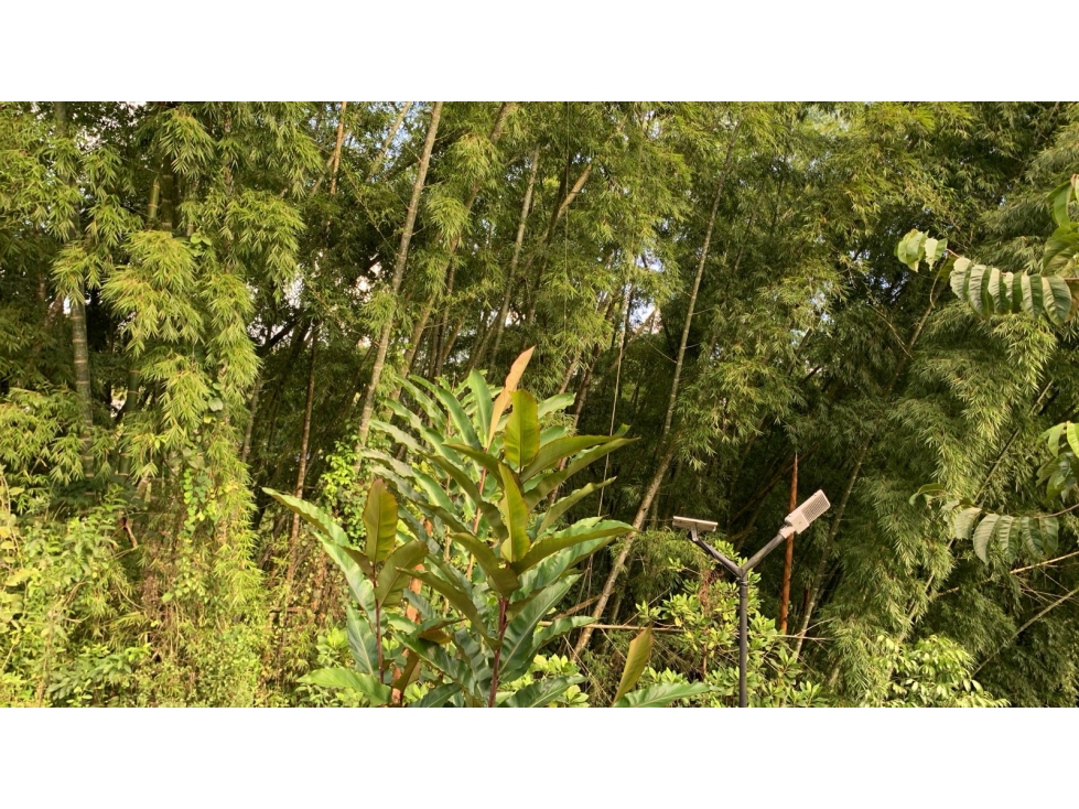 VENTA DE LOTE VÍA AUTOPISTA DEL CAFÉ, MANIZALES CALDAS — foto 3