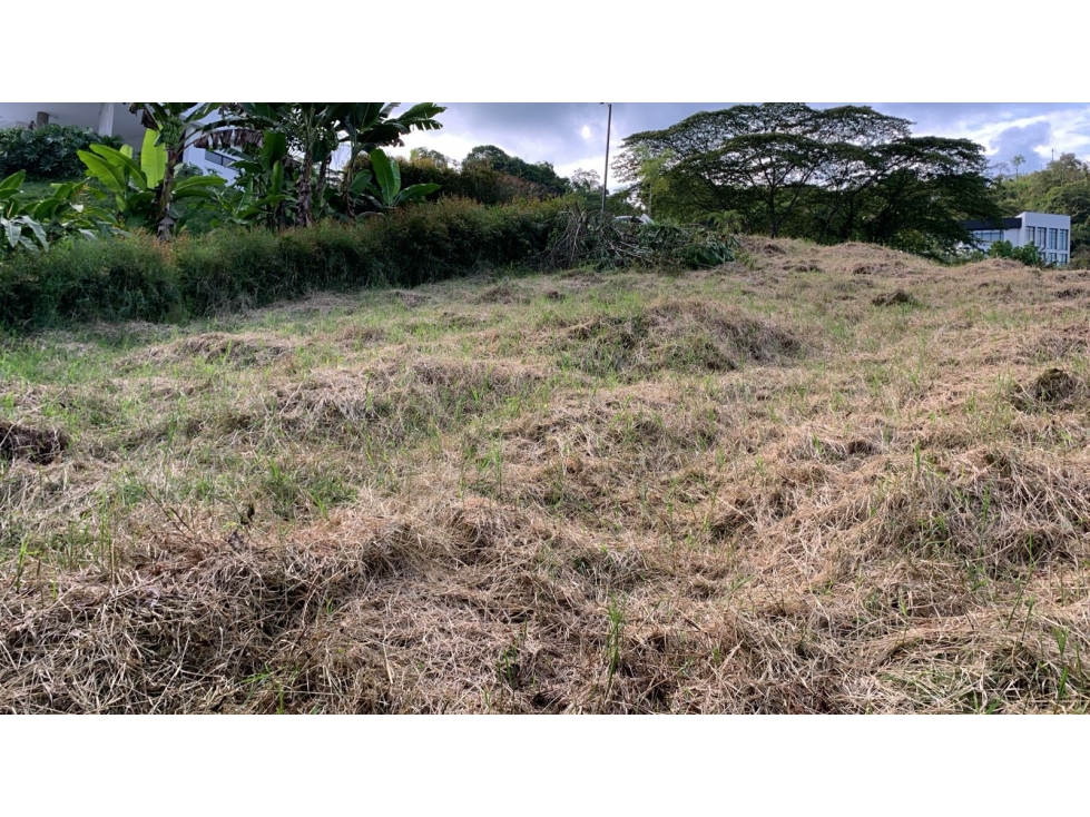 VENTA DE LOTE VÍA AUTOPISTA DEL CAFÉ, MANIZALES CALDAS — foto 4