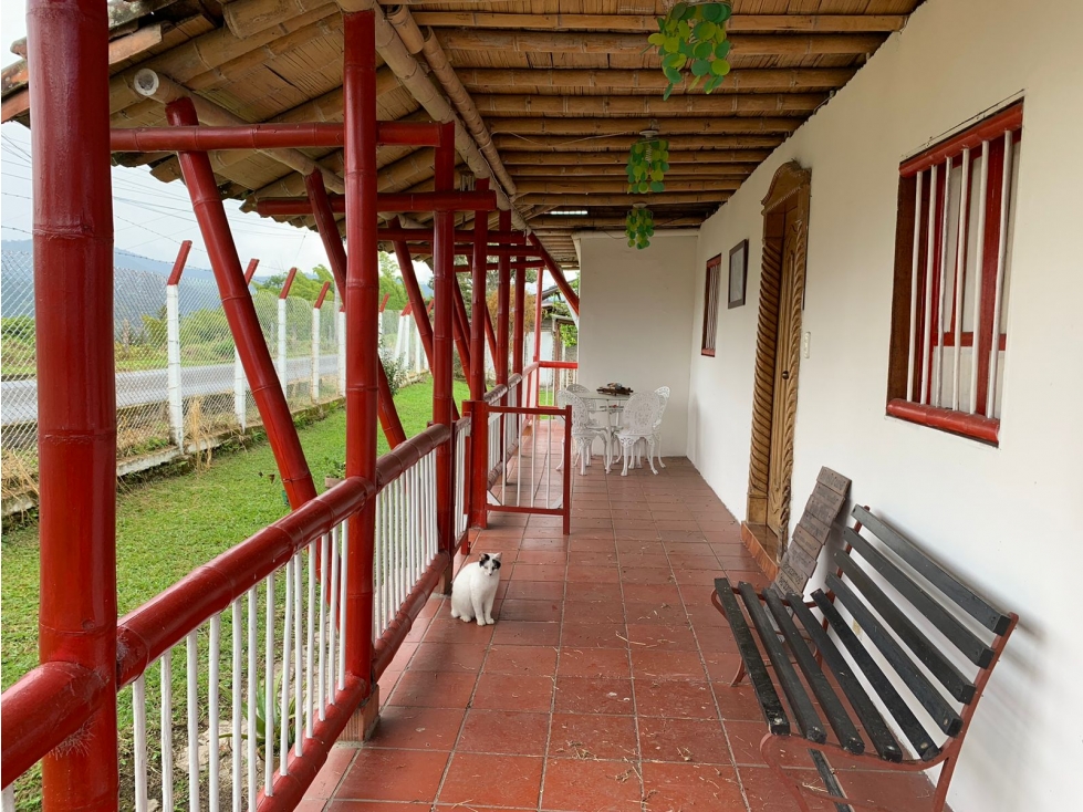VENTA FINCA PUEBLO RICO NEIRA, MANIZALES CALDAS — foto 5