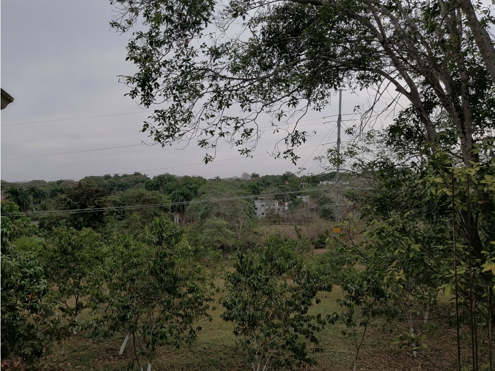 VENDO LOTE CAMPESTRE EN TURBACO BOLIVAR - 4