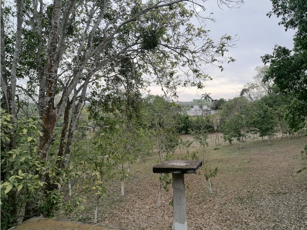 VENDO LOTE CAMPESTRE EN TURBACO BOLIVAR - 3