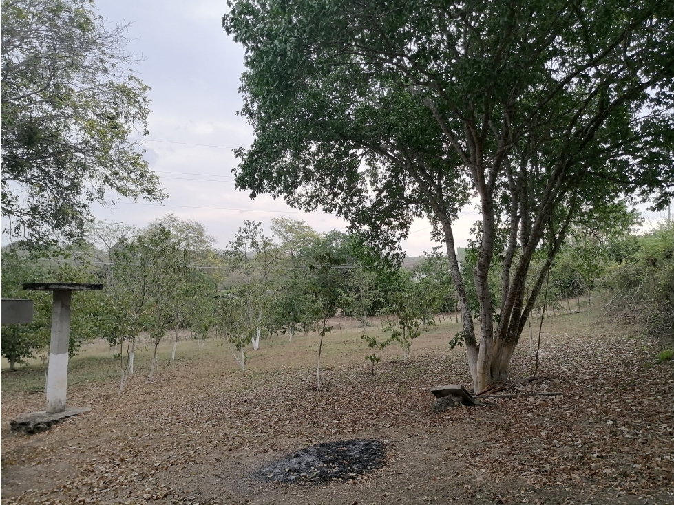 VENDO LOTE CAMPESTRE EN TURBACO BOLIVAR - 6