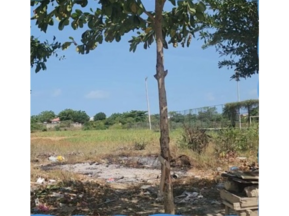 VENTA LOTE URBANO EN PASACABALLOS CARTAGENA DE INDIAS — foto 5