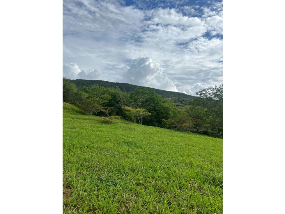 VENDO LOTE VILLANUEVA / SANTANDER - 2