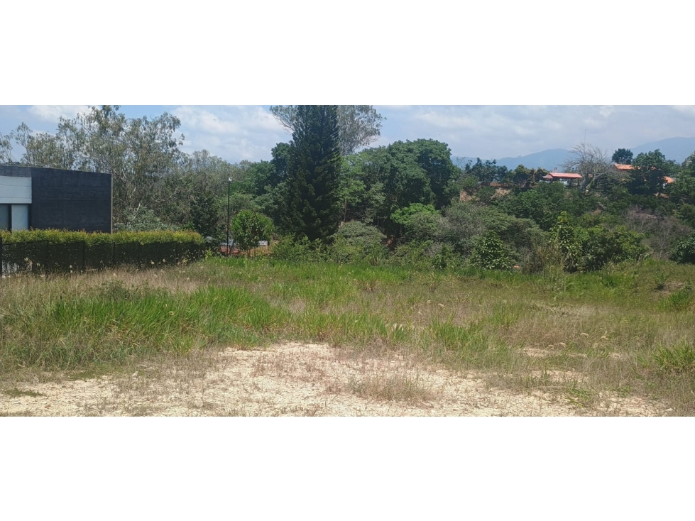 VENDEMOS LOTE 4 - VALLES DE ESPAÑA / FLORIDABLANCA - 2
