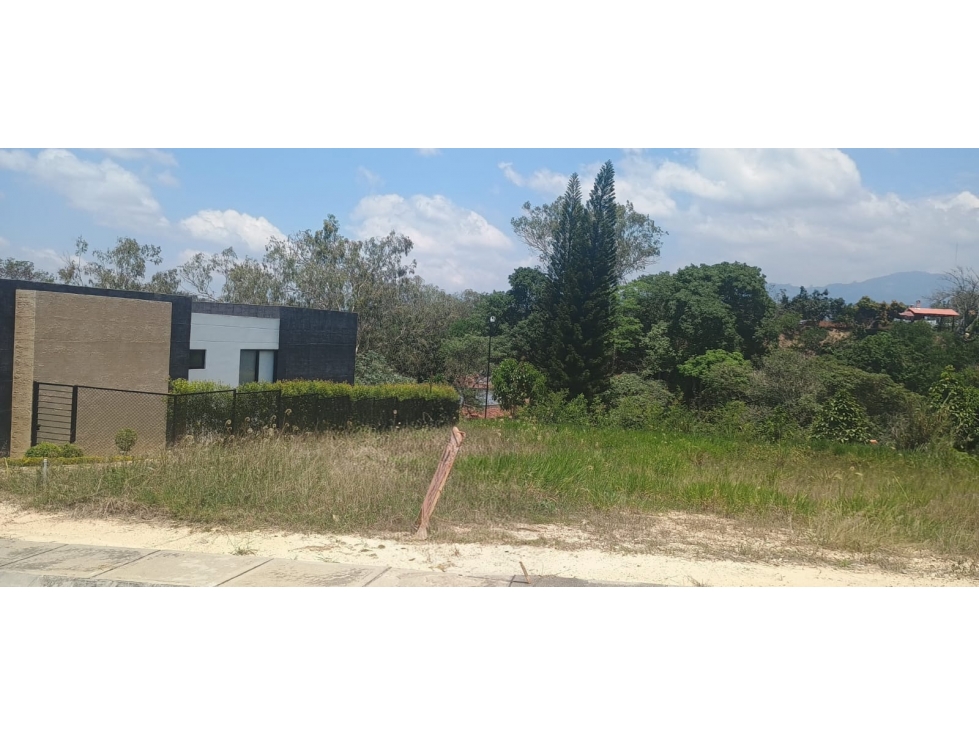 VENDEMOS LOTE 4 - VALLES DE ESPAÑA / FLORIDABLANCA - 3