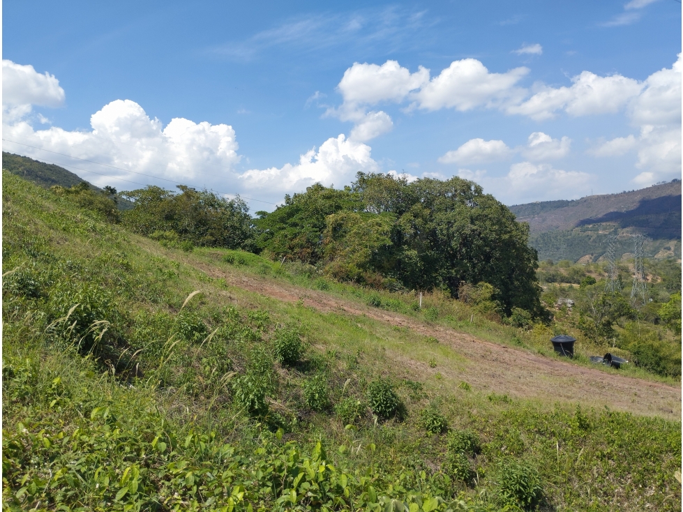 VENDO LOTE VEREDA PAJONAL / PIEDECUESTA - 3