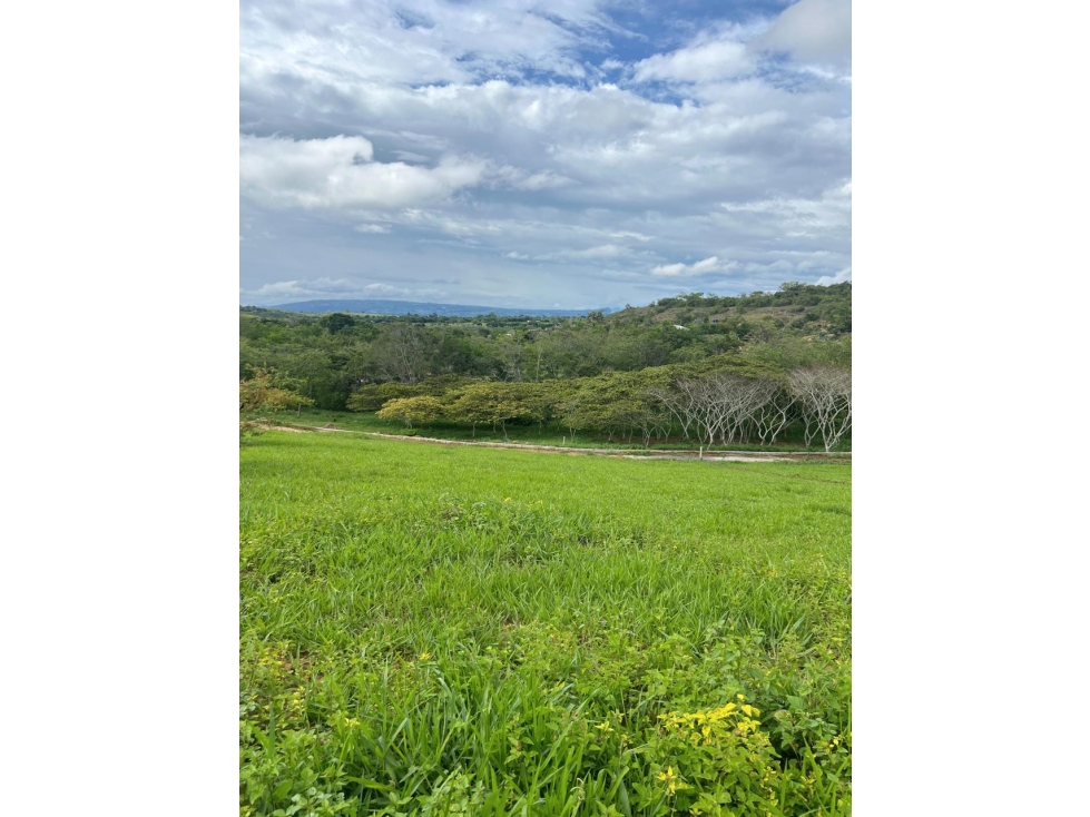 VENDO LOTE VILLANUEVA / SANTANDER - 4