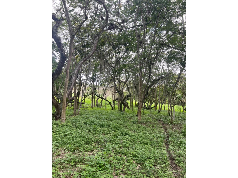 VENDO LOTE VILLANUEVA / SANTANDER - 5