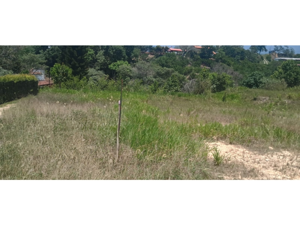 VENDEMOS LOTE 4 - VALLES DE ESPAÑA / FLORIDABLANCA - 1