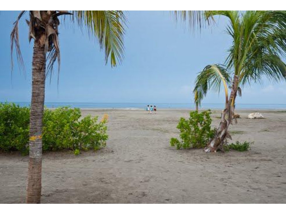 Vendo Lote En Punta Canoa Zona de Desarrollo en Cartagena — foto 3